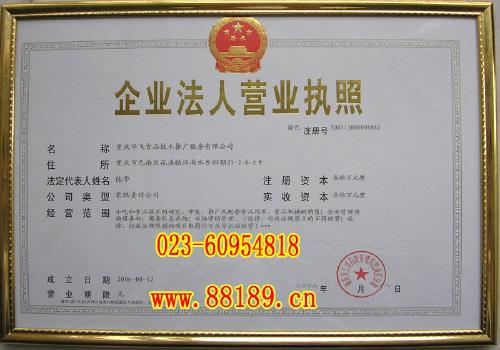 重慶華飛食品技術(shù)推廣服務(wù)資質(zhì)與經(jīng)濟信息咨詢解析