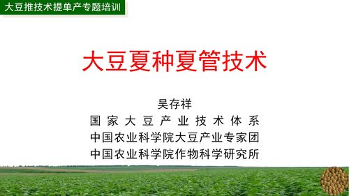 大豆推廣技術(shù)提單產(chǎn)專題培訓(xùn)月 經(jīng)濟信息咨詢助力農(nóng)業(yè)增效