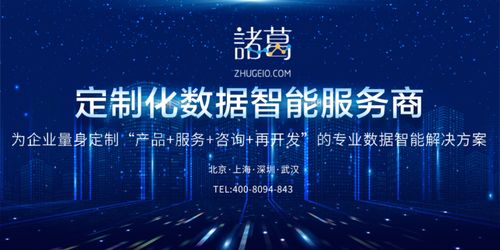 數(shù)據(jù)驅(qū)動未來 諸葛io以定制化服務(wù)樹立工業(yè)互聯(lián)網(wǎng)數(shù)據(jù)服務(wù)新標(biāo)桿